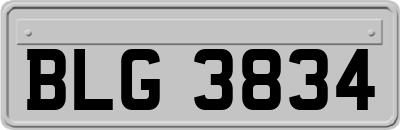 BLG3834