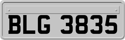 BLG3835