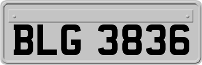 BLG3836