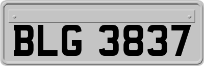 BLG3837