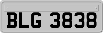 BLG3838