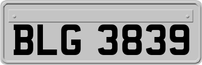BLG3839