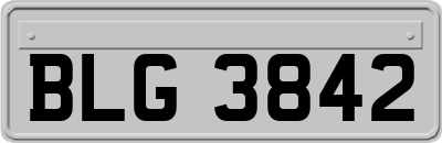 BLG3842