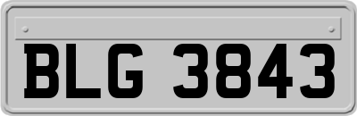 BLG3843