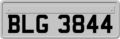 BLG3844