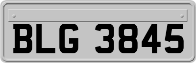 BLG3845