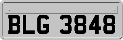 BLG3848
