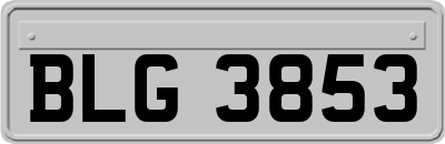BLG3853