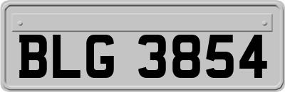 BLG3854