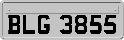 BLG3855