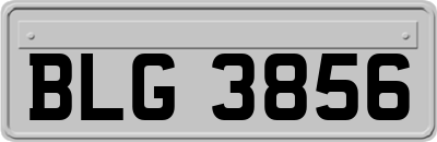 BLG3856