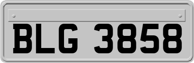 BLG3858
