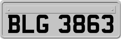 BLG3863