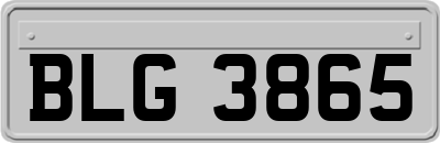 BLG3865