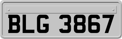 BLG3867
