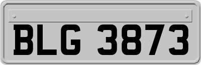 BLG3873