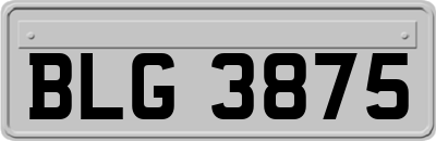 BLG3875