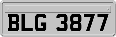 BLG3877