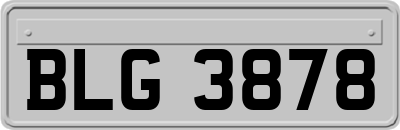 BLG3878