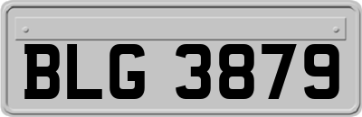 BLG3879