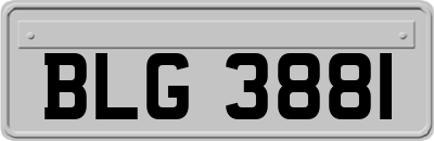 BLG3881