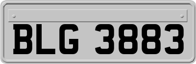 BLG3883