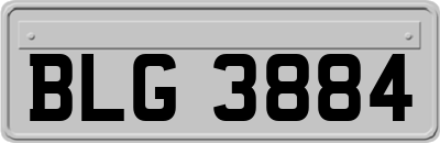BLG3884