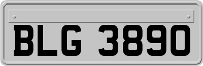 BLG3890