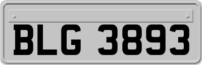 BLG3893