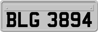 BLG3894
