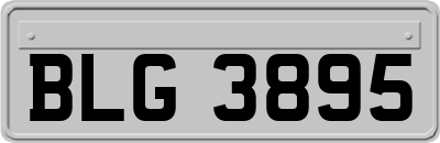 BLG3895