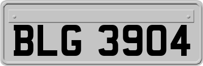BLG3904