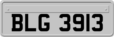 BLG3913