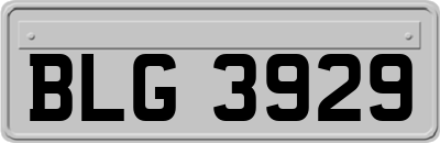 BLG3929