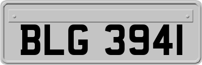 BLG3941