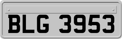 BLG3953
