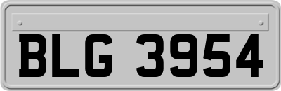 BLG3954