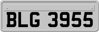 BLG3955