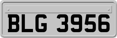BLG3956