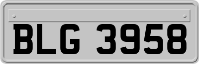BLG3958
