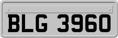 BLG3960
