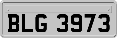 BLG3973