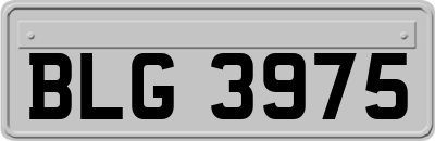 BLG3975