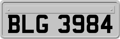 BLG3984