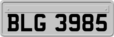 BLG3985