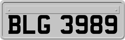 BLG3989