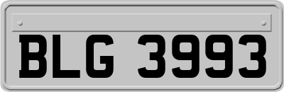 BLG3993