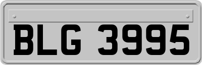 BLG3995