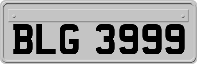 BLG3999
