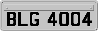 BLG4004
